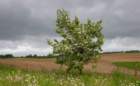 warmia14_small.jpg
